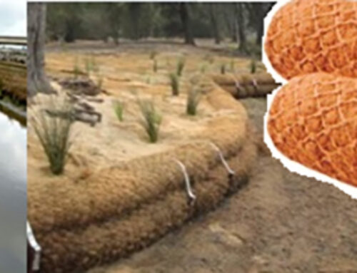 Experienced Coir and Cocopeat Products Producer is Looking for New Customers and International Investors